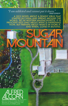 sugar mountain_cover redo 4.2020c